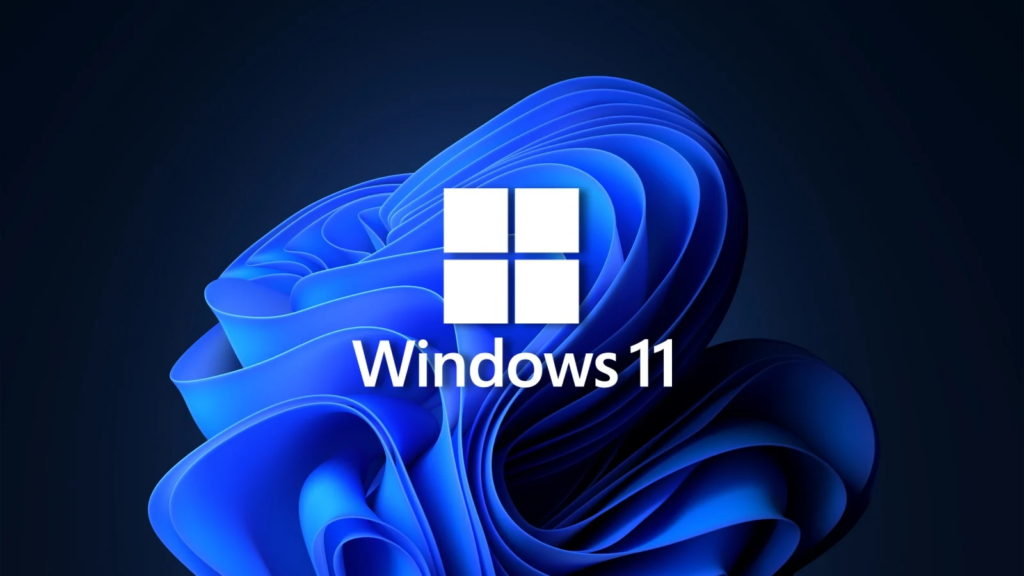windows 11

